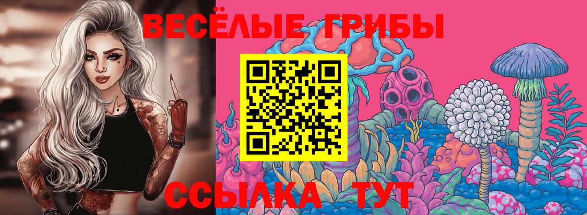 Галлюциногенные грибы MAGIC MUSHROOMS  Псилоцибиновые грибы прущие грибы  наркотики  Вход с VPN  Мелеуз 
