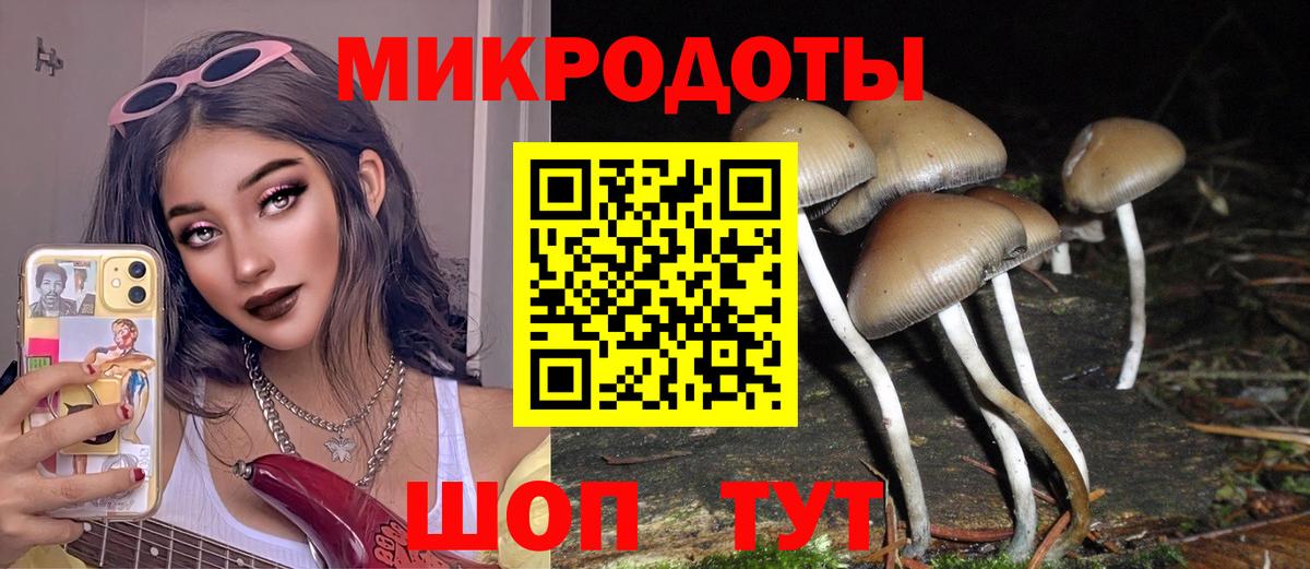 Галлюциногенные грибы MAGIC MUSHROOMS Мелеуз